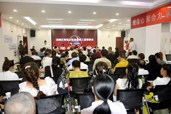 涪陵区微型企业协会完成换届选举 黄仕龙当选新一届会长